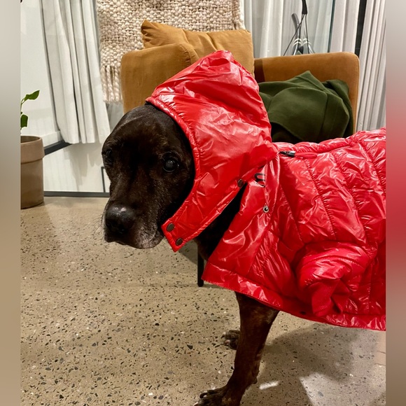 MAXBONE LU SKI SUIT - Picture 4 of 5